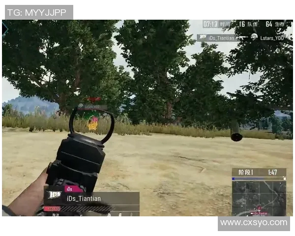 英雄联盟热点分析：V5战队中路表现如何引领游戏局势变化