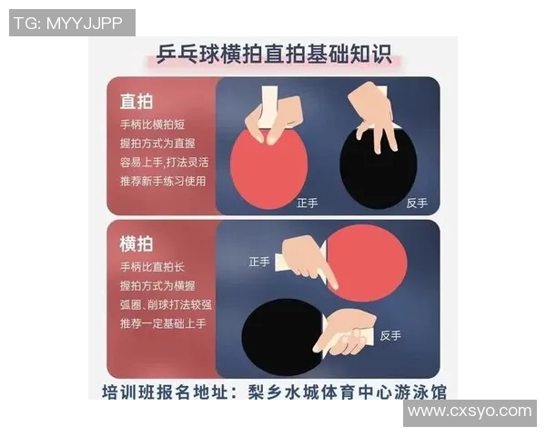 周磊独家分享乒乓球技巧与心得助你提升球技的秘密之道