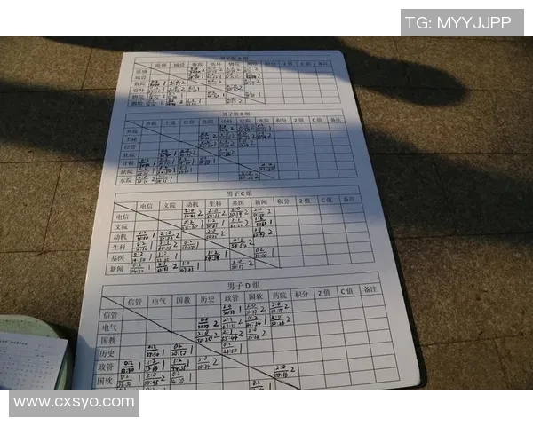 武汉排球队的实力分析与未来发展展望探讨