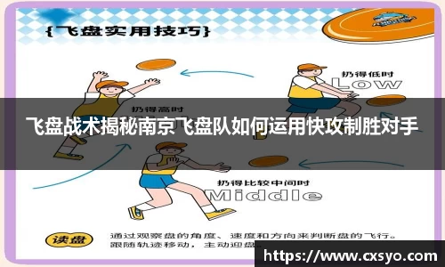 飞盘战术揭秘南京飞盘队如何运用快攻制胜对手
