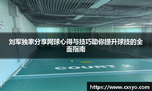 刘军独家分享网球心得与技巧助你提升球技的全面指南