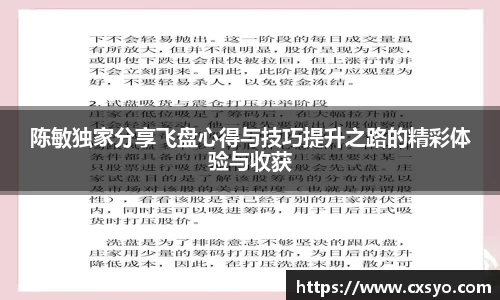陈敏独家分享飞盘心得与技巧提升之路的精彩体验与收获