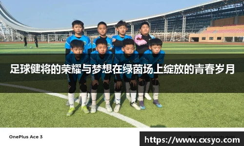 cc网投专业平台